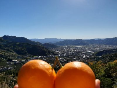 20201124_104857.jpg